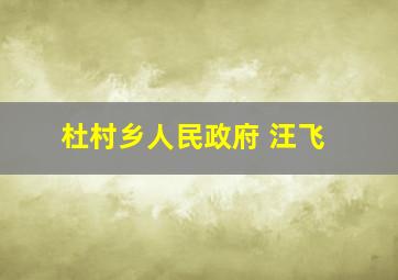 杜村乡人民政府 汪飞